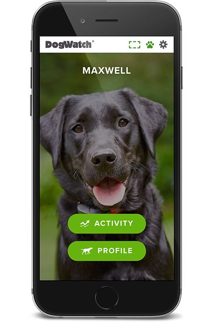 DogWatch of the SC Lowcountry, Johns Island, South Carolina | SmartFence WebApp Image