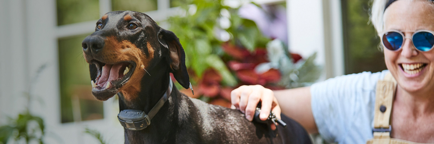 DogWatch of the SC Lowcountry, Johns Island, South Carolina | Remote Dog Training Collars Slider Image